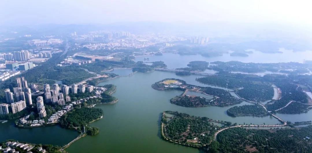 2021年广东省政府工作报告,生态环境保护内容