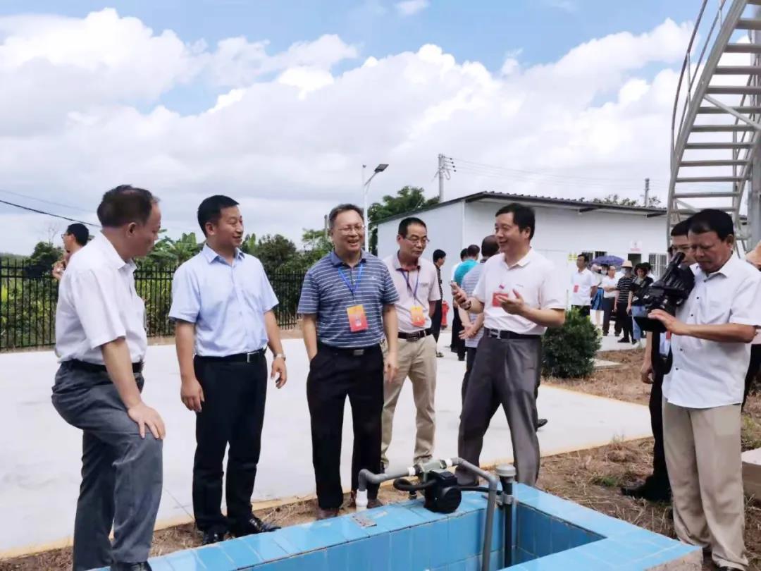 查看马圩镇装配式污水厂出水水质情况